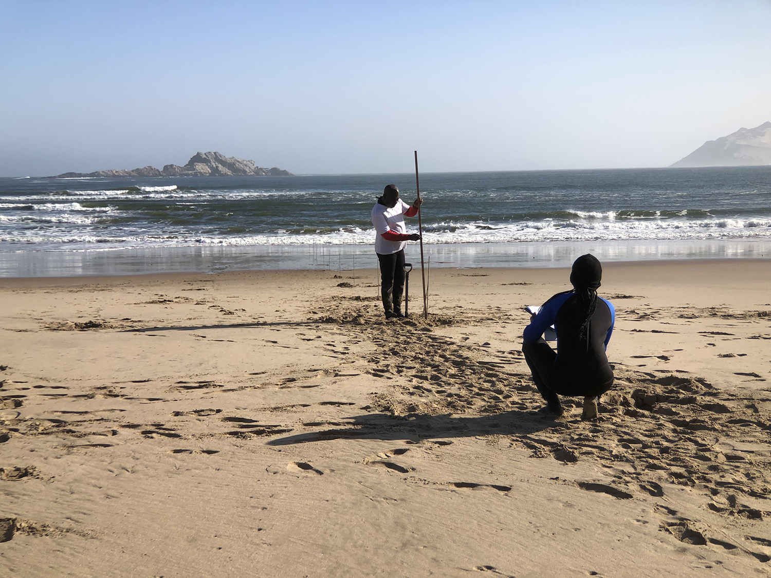 Eco-detectives coring and profiling sandy shores to map vulnerable baseline ecosystems.